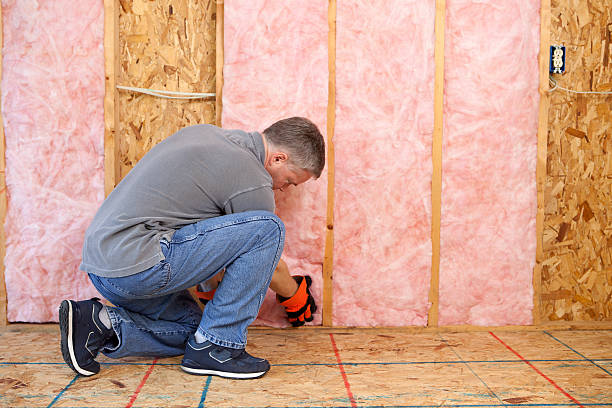 Best Eco-Friendly Insulation in North Vacherie, LA