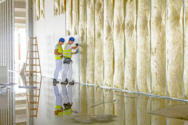 Best Blown-in Insulation in North Vacherie, LA